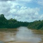 Mit dem Seeschiff auf dem Amazonas (2)