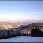 Mit dem Snowboard in die Sonne