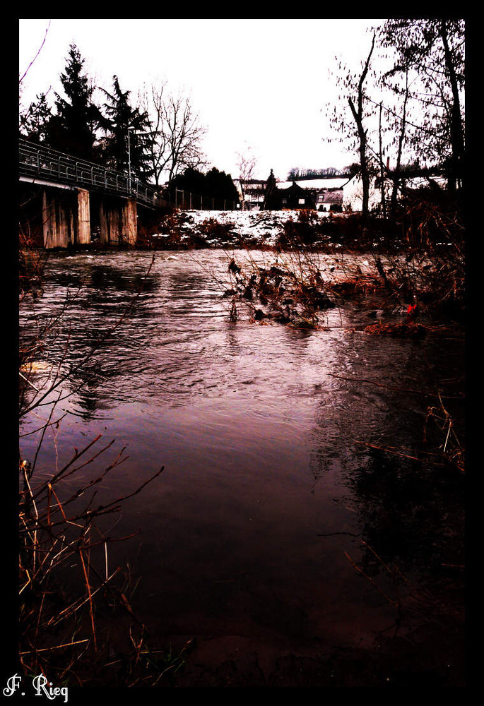 Mit dem Strom schwimmen