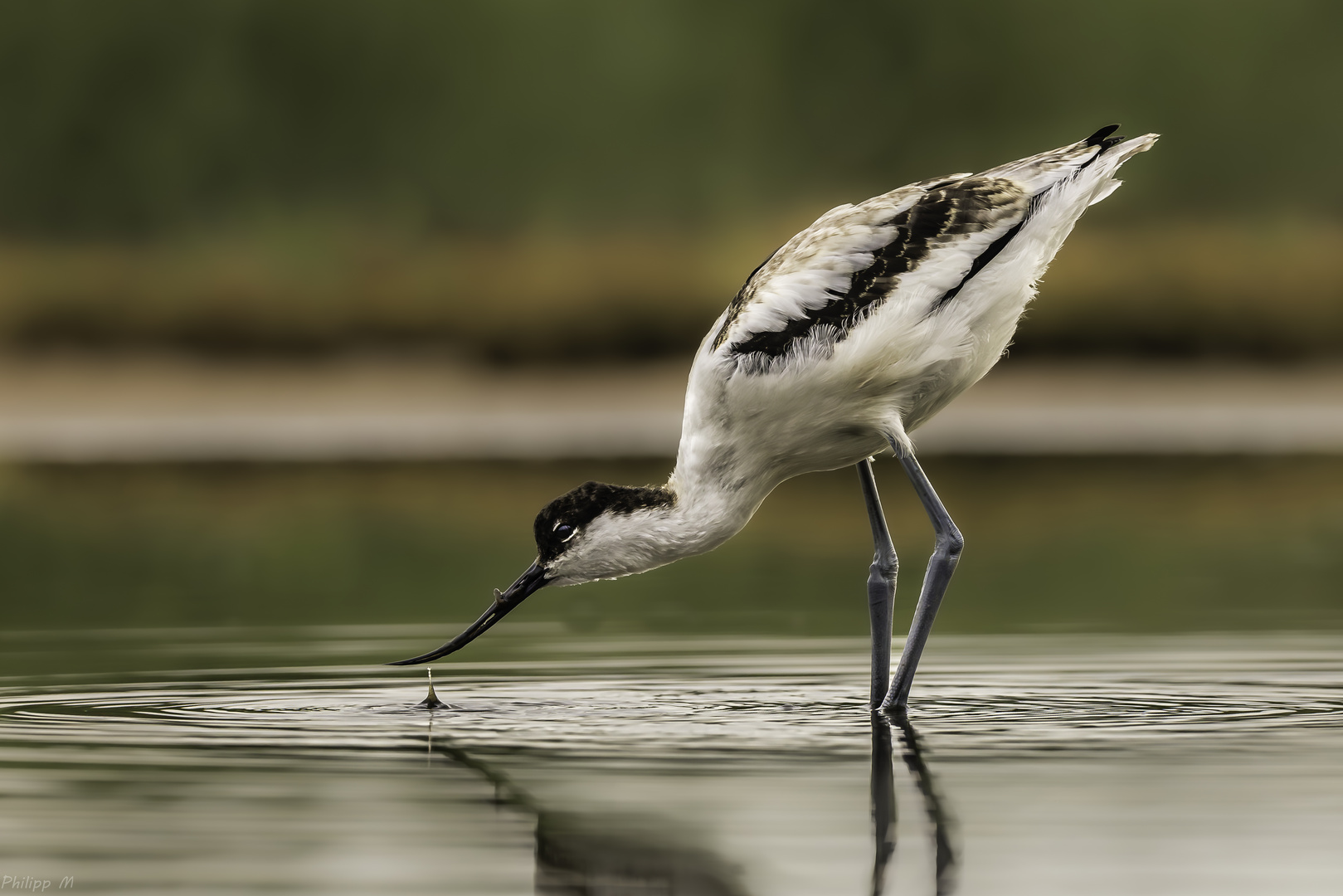 mit dem Wasser spielen…