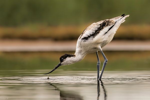 mit dem Wasser spielen…