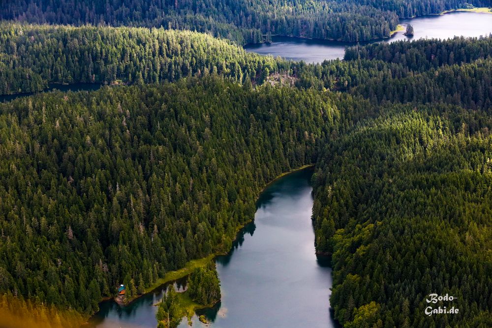 Mit dem Wasserflugzeug über den Misty Fjord VI