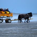 Mit dem Wattwagen durch´s Watt...