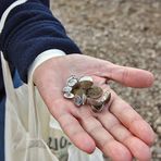 Mit dem Weitwinkel gibt es lange Finger, weil es gerade montiert war, aber es...