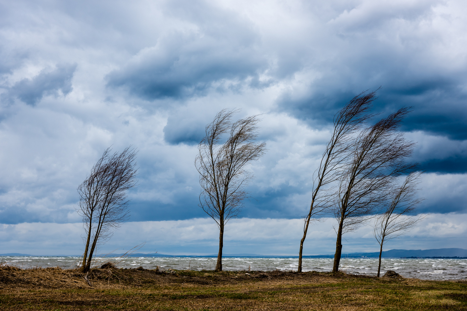 Mit dem Wind Foto Bild europe sterreich landschaft Mit dem Wind Foto Bild europe sterreich landschaft