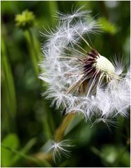 Mit dem Wind auf die Reise