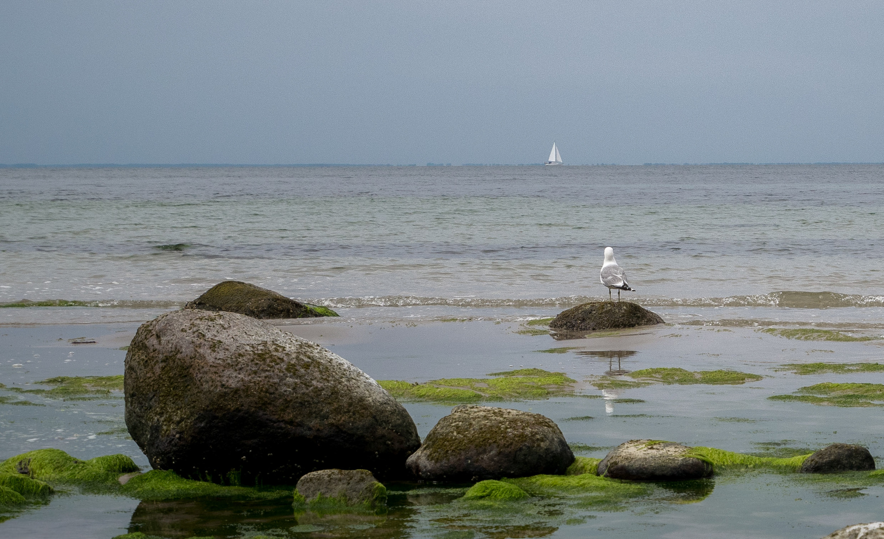 mit dem Wind