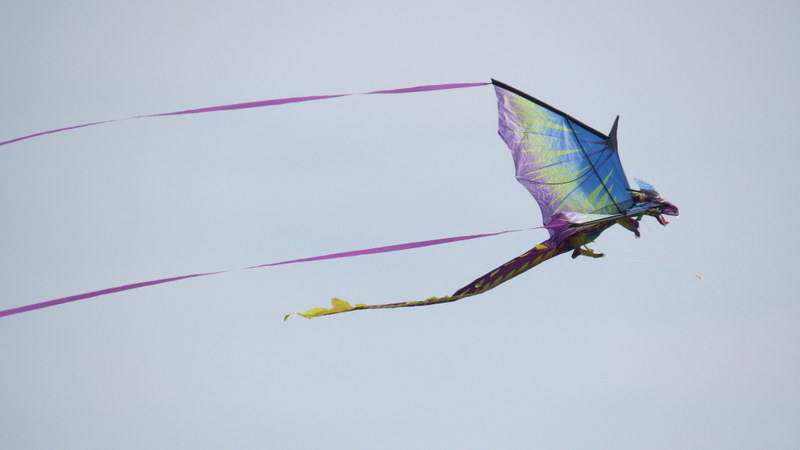 mit dem Wind um die Wette fliegen