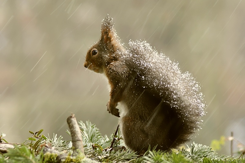 mit dem Winter im Rücken