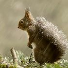 mit dem Winter im Rücken