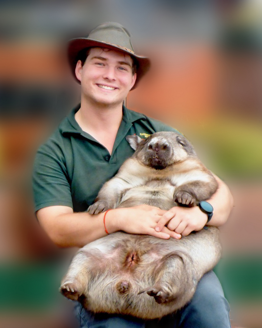 Mit dem Wombat aber kann man kuscheln!