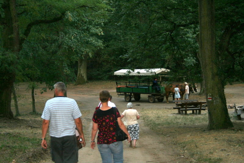 Mit dem Zigeunerwagen durch die Puszta