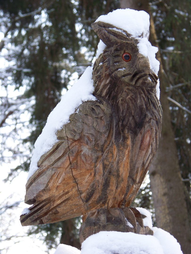 Mit dem zweiten sieht man - auch im Winter - besser