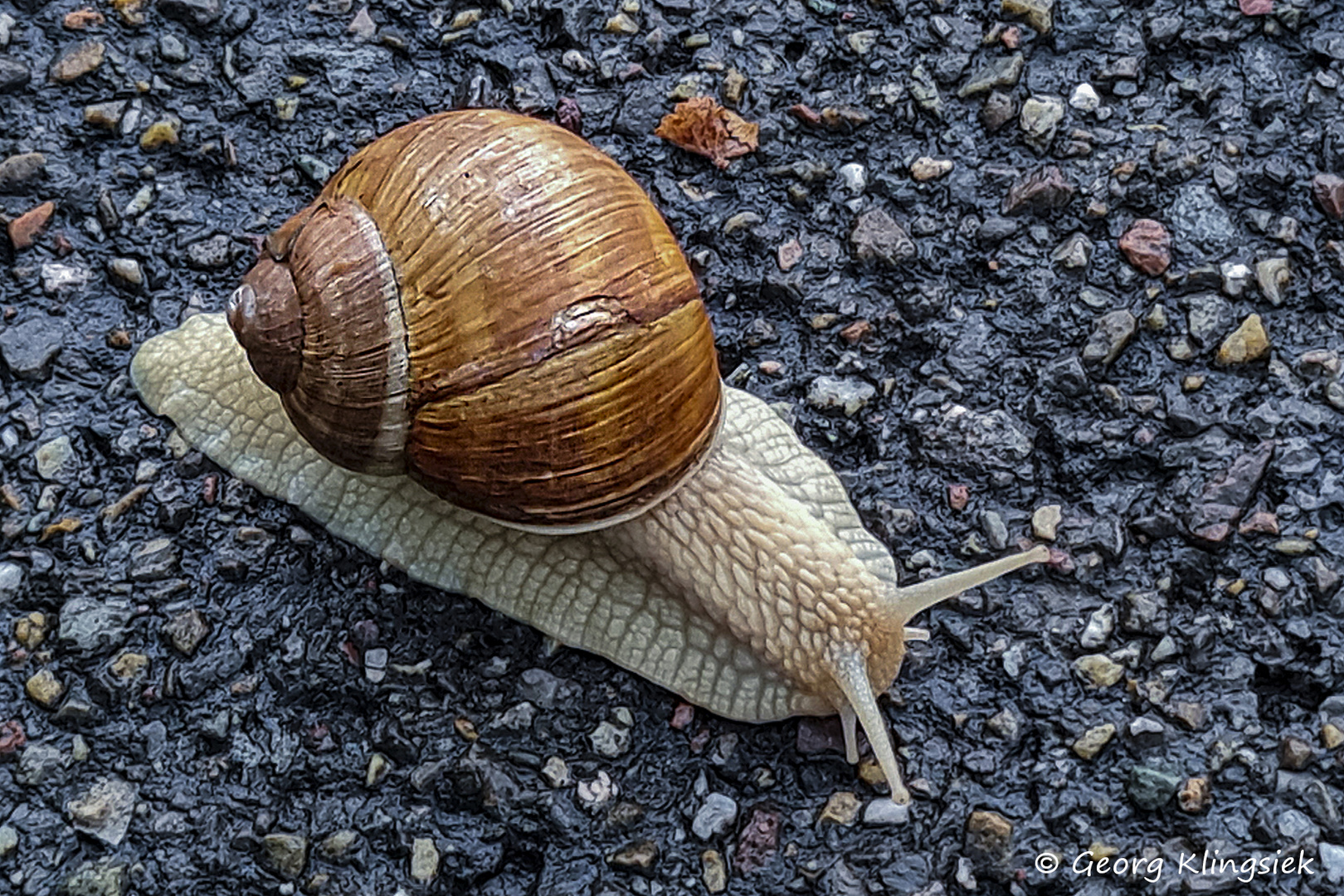 Mit den Antworten auf Eure netten Kommentare zu meinen Fotos … 