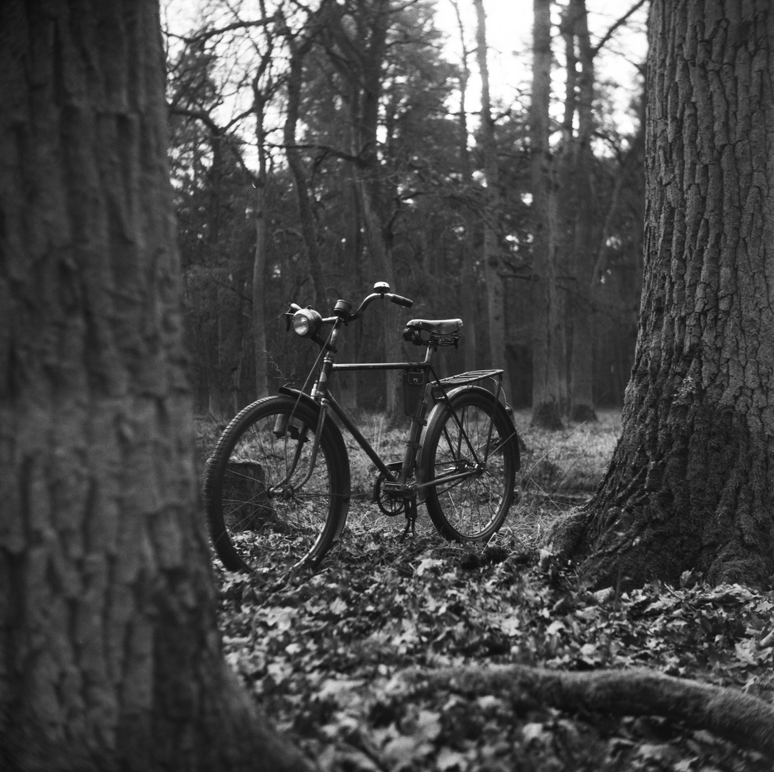 Mit den Augen einer Rolleicord...