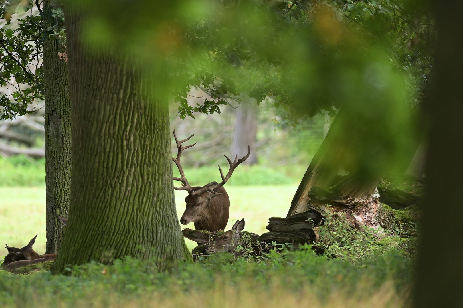 Mit den Damen im Versteck