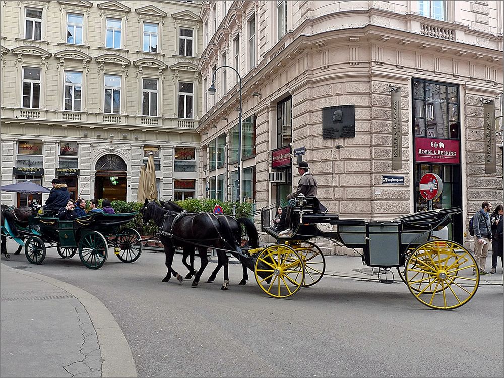 mit den Fiaker durch Wien