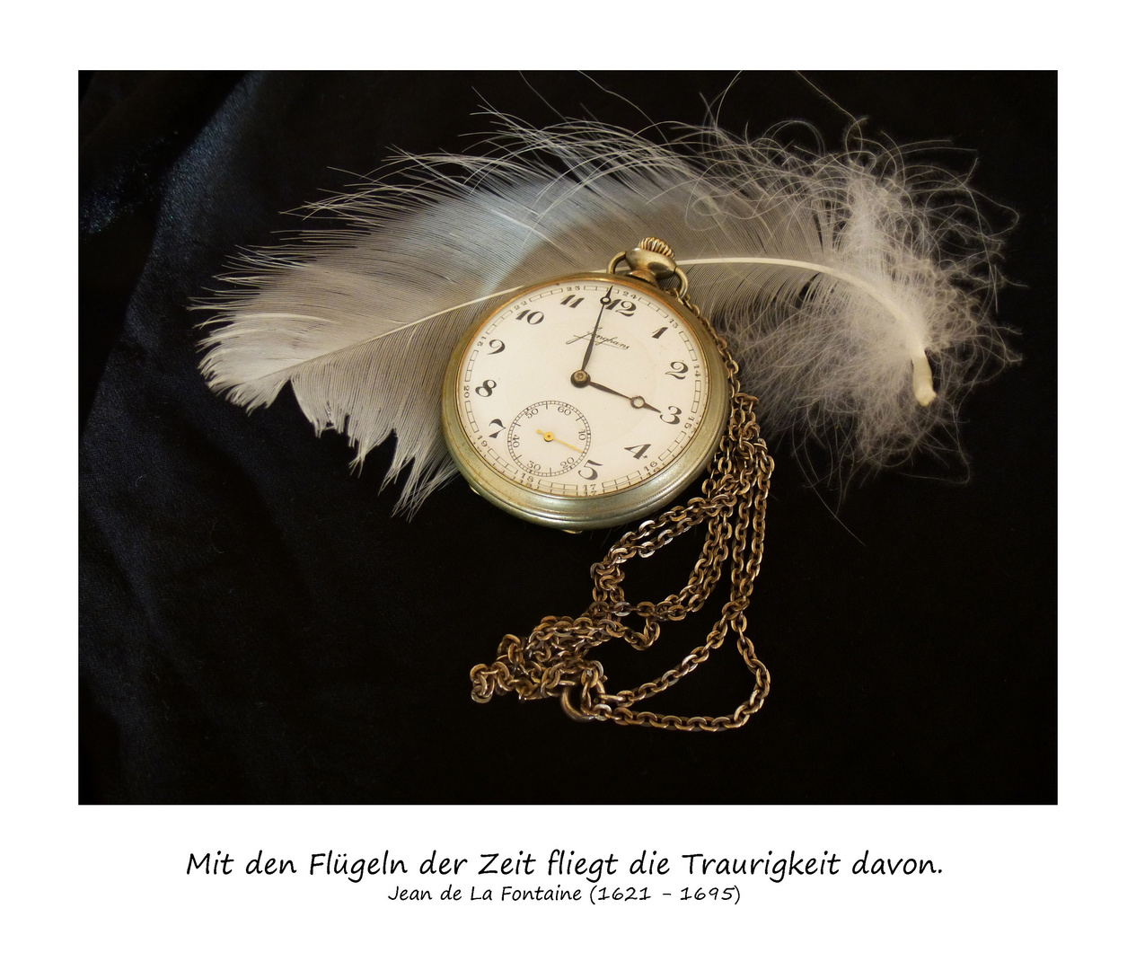 Mit den Flügeln der Zeit Foto & Bild stillleben, arrangierte