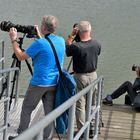 Mit den Fotofreunden auf Pirsch am Bodensee