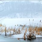 Mit den Fuessen im eis-kalten Wasser