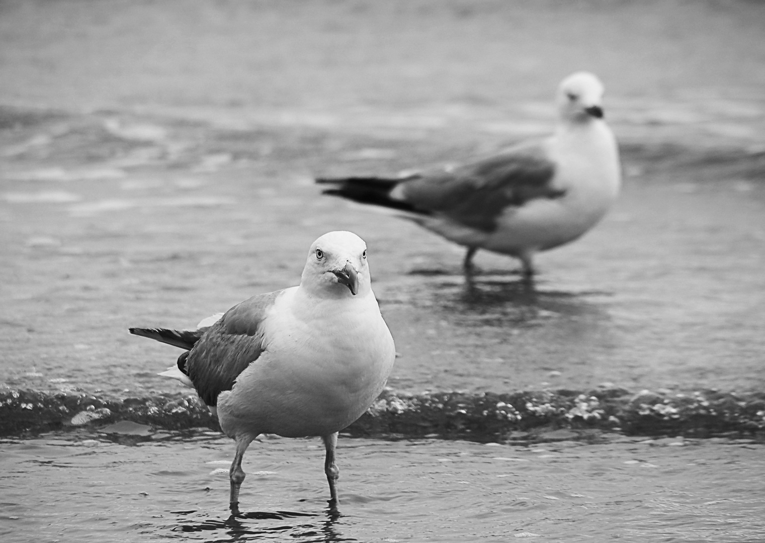 Mit den Füßen im Wasser