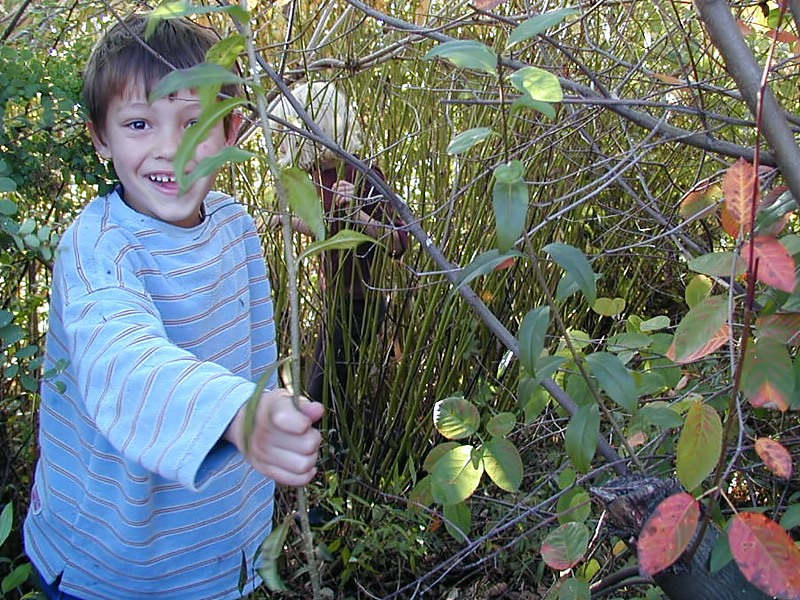 Mit den Kiddies im Dschungel von Lechbruck