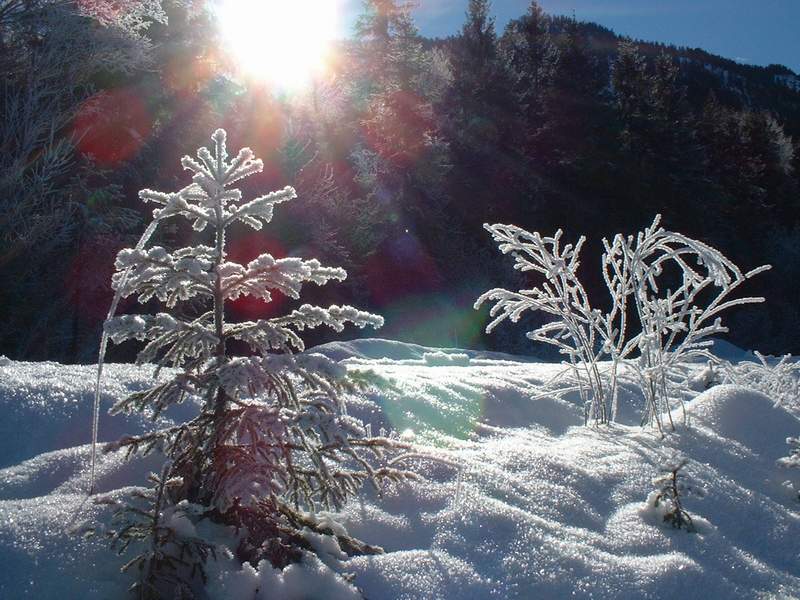 mit den knien im schnee