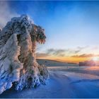 mit den letzten Sonnenstrahlen im Schnee