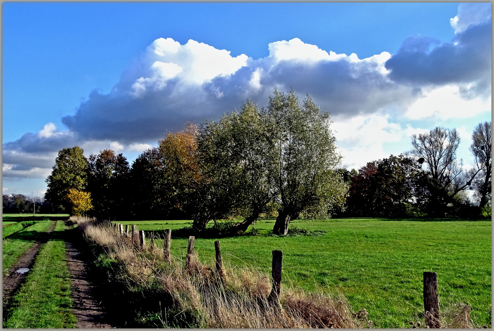 Mit den Wolken durch die Felder