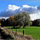 Mit den Wolken durch die Felder