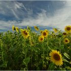 Mit den Wolken im Wind