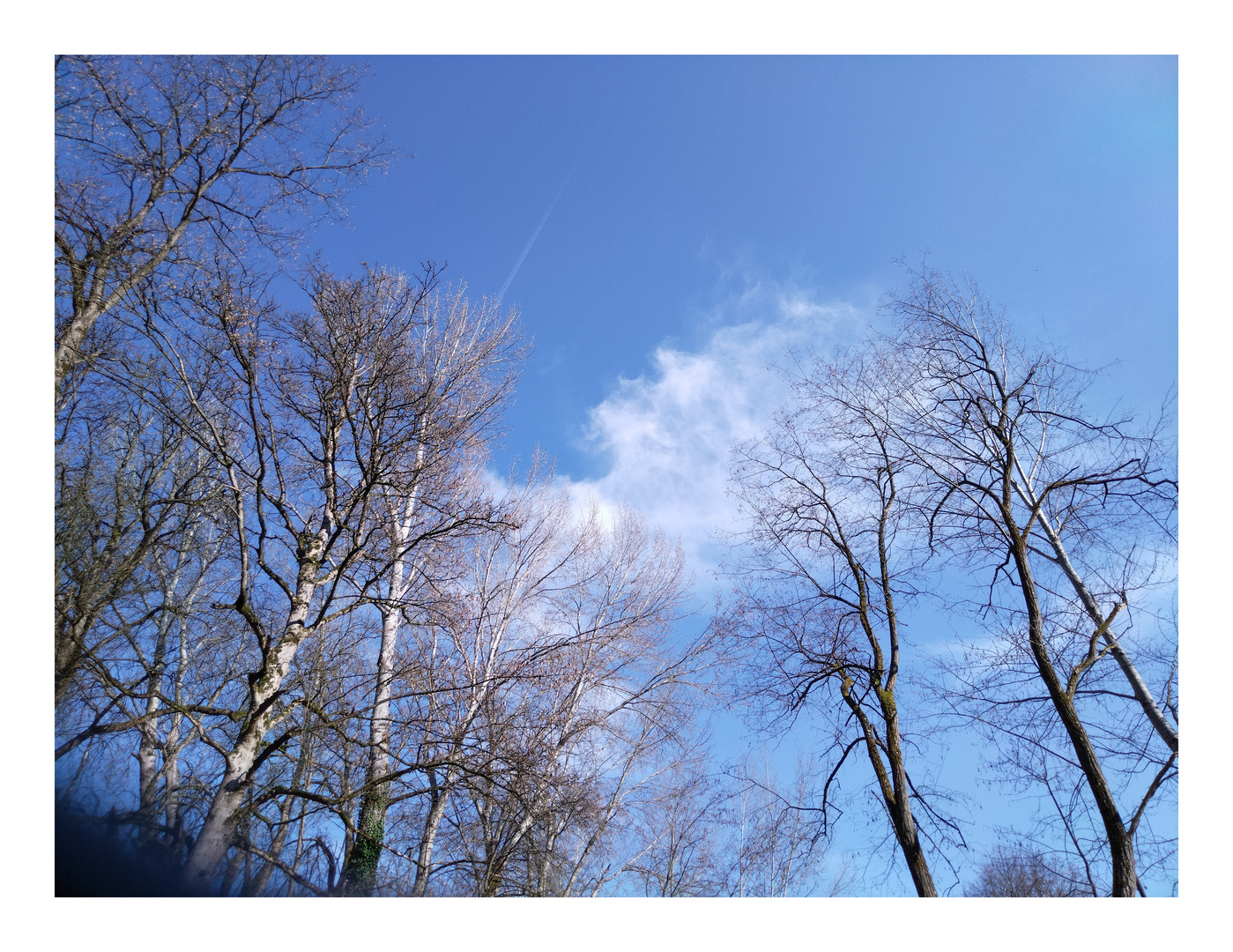 Mit den Wolken tanzen ....... 