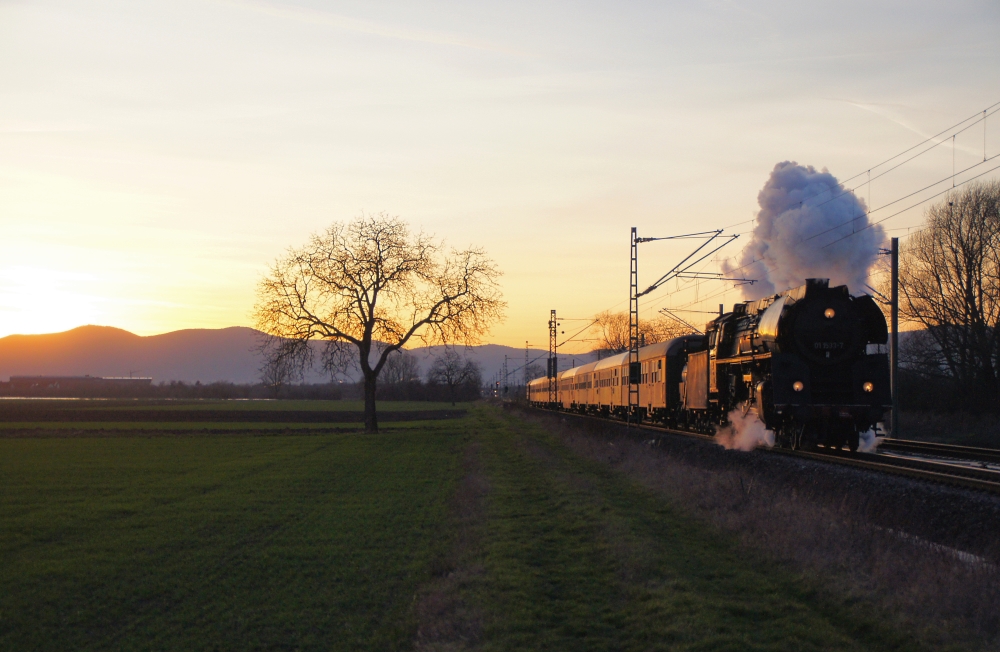 Mit der 01.5 durch die Pfalz