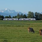 Mit der Bahn in die Berge