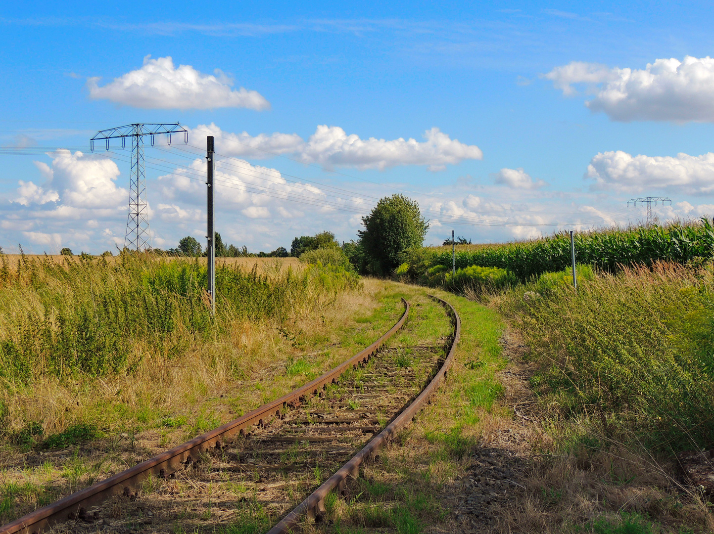 Mit der Bahn ins Grüne...