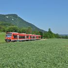 Mit der Bahn zum Bad Uracher Schäferlauf mit.....