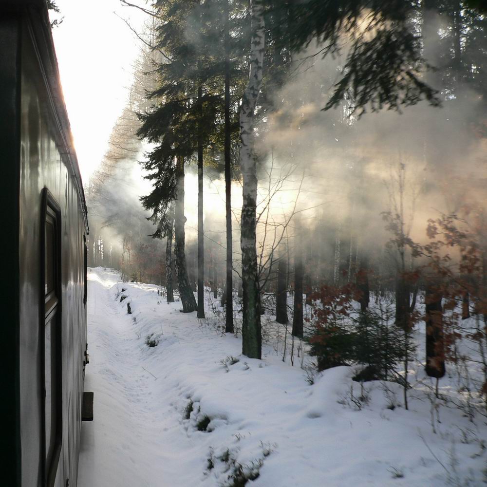 Mit der Bimmelbahn durch's Zittauer Gebirge