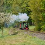 Mit der Dampfkleinbahn nach Bad Orb (2)