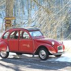 Mit der Ente bei Frau Holle