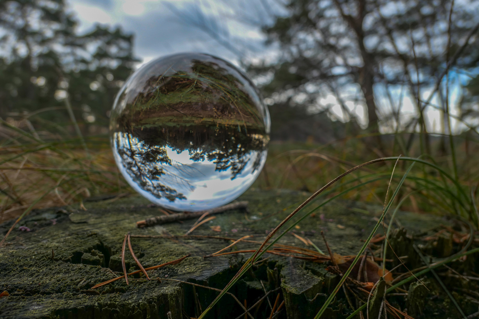 Mit der Glaskugel in den Holmer Sandbergen