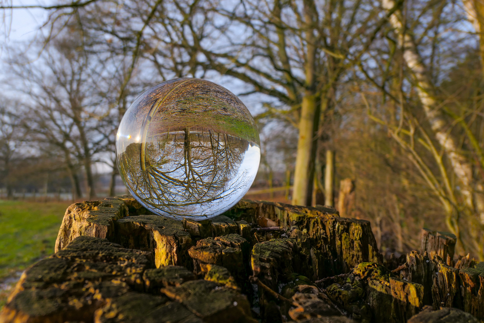 Mit der Glaskugel nahe einer Moorlandschaft