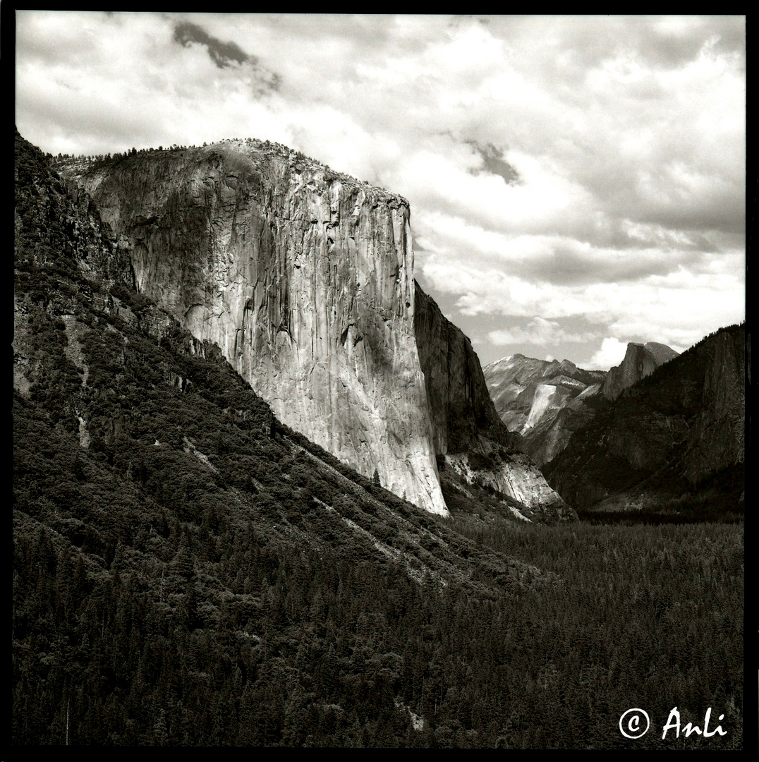 Mit der Hasselblad: Yosemite N.P.