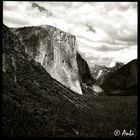 Mit der Hasselblad: Yosemite N.P.