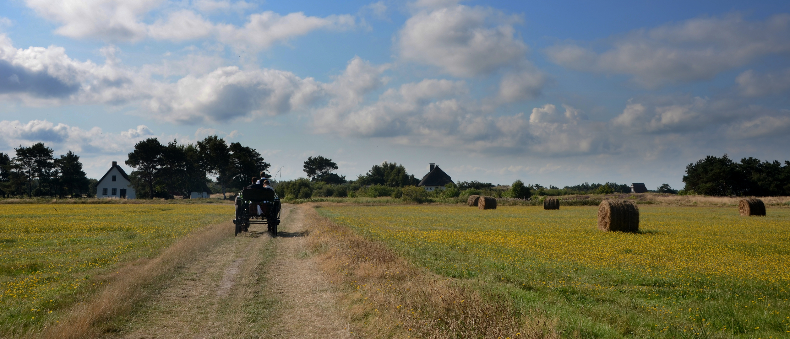 Mit der Kutsche in die Heide