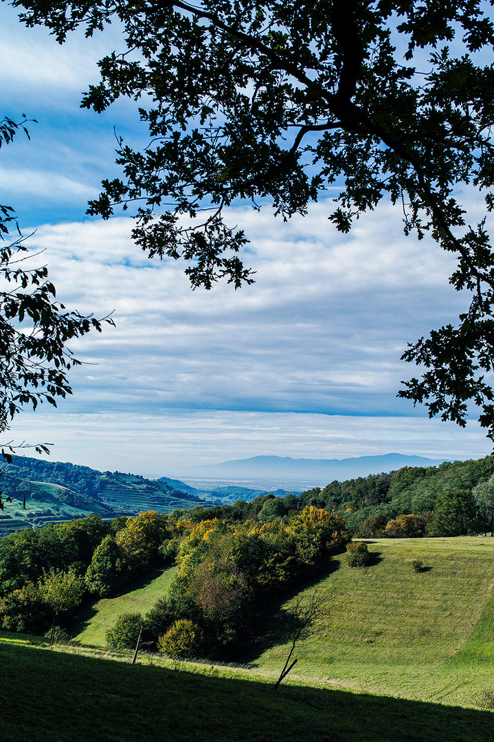 Mit der Leica unterwegs: Vogtsburg im Kaiserstuhl