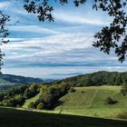 Mit der Leica unterwegs: Vogtsburg im Kaiserstuhl 2