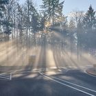 Mit der Licht-Nebelstimmung wird selbst eine Landstraße durch den Pfälzerwald zum Hingucker, oder ?