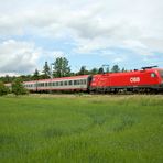 Mit der Lizenz zum Bahnfahren