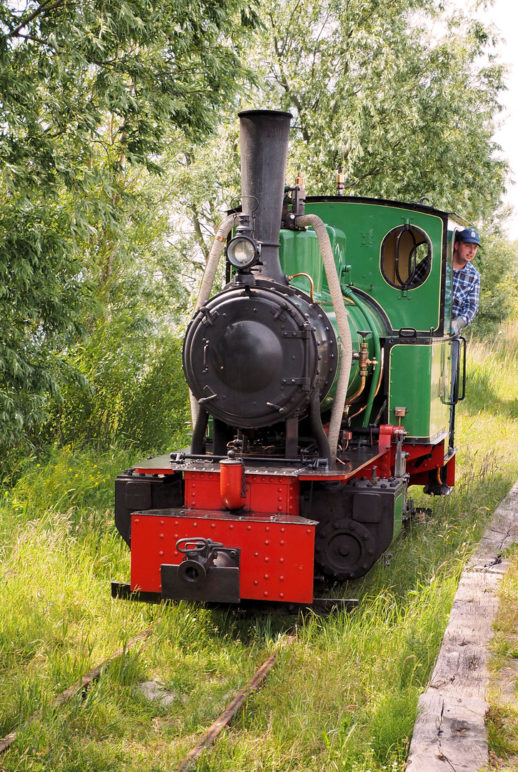 Mit der Lokomotive durchs Grüne...