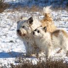 mit der Mutti in der Winter-Heide